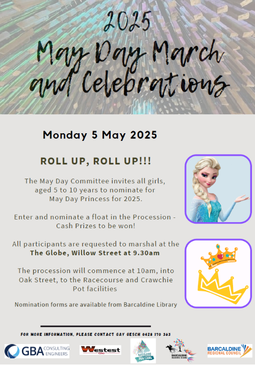 Princess Nomination Form